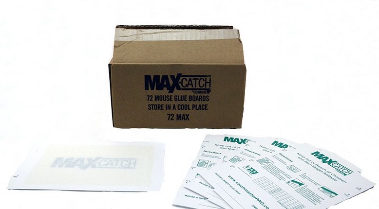 catchmaster MAX CATCH YAPIŞKAN FARE TUZAĞI 72'Lİ KUTU