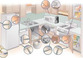 PowerNext Hamam Böceği Jel Yemi 35 gram