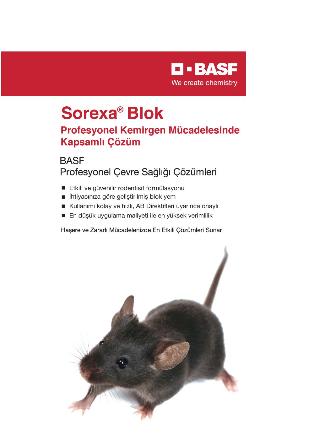 SOREXA BLOK 10KG. FARE İLACI 