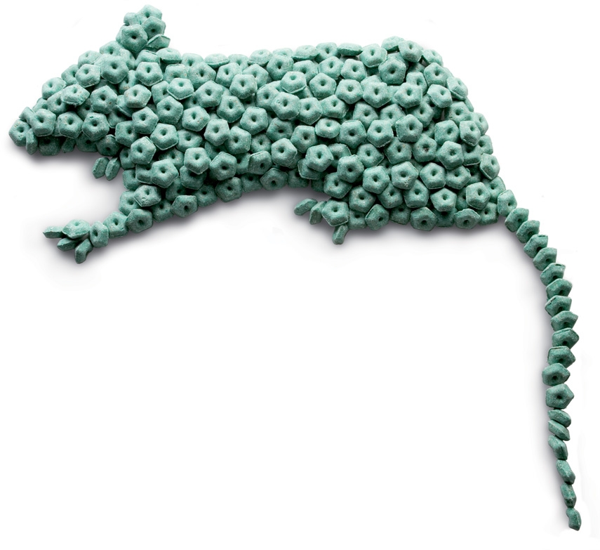 SOREXA BLOK 10KG. FARE İLACI 