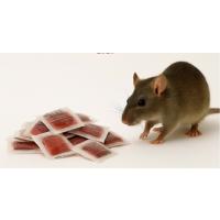 BONİRAT PASTA 10 KG PASTA FORMUNDA FARE YEMİ ZEHRİ