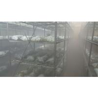 DURU M XL ŞAMANDIRALI HORTUMLU MANTARHANE NEMLENDİRME ULV CİHAZI